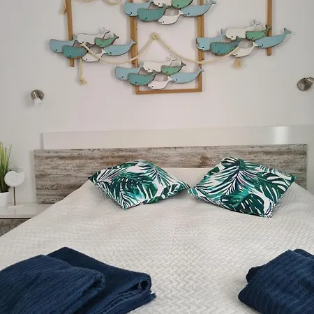 Ocean Forty C Apt. Oasis Fue Costa Calma